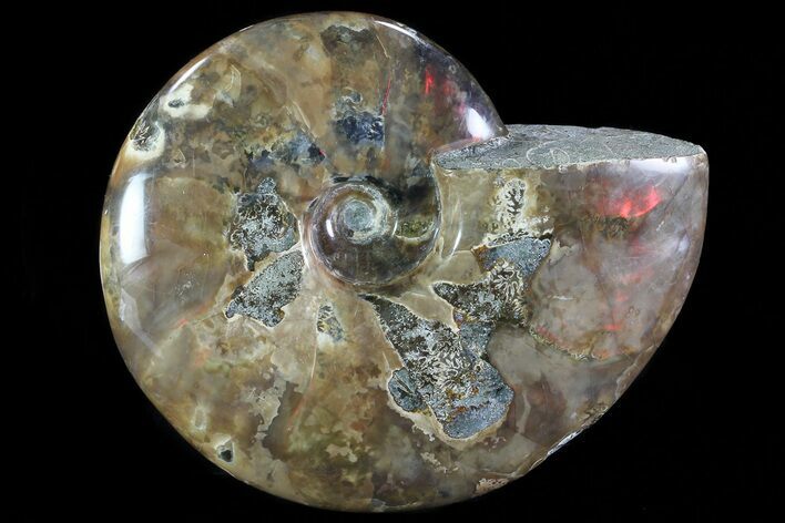 Iridescent Red Flash Ammonite - Madagascar #81379